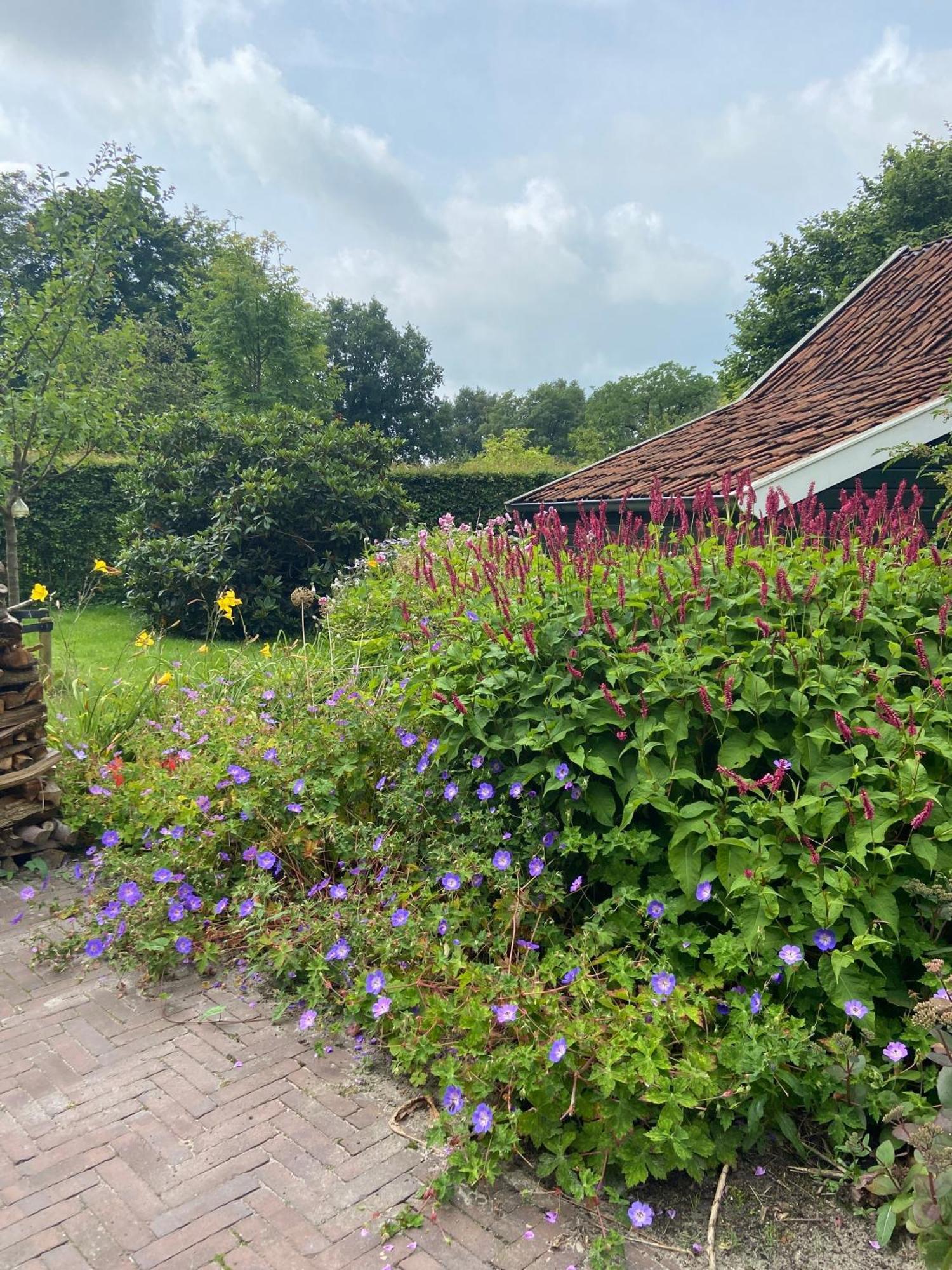 Haystackcottage Paterswolde Exterior foto